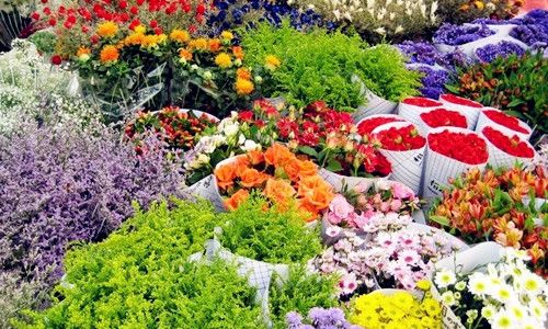 Flower market in kunming