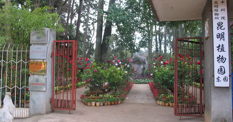 Kunming Botanical Garden