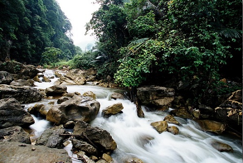 Lvshuihe Tropical Rainforest Holiday Resort in Gejiu City