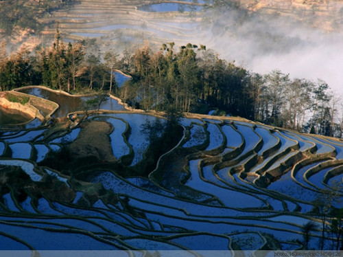 Malizhai Rice Terraces Scenic Area in Yuanyang County,Honghe