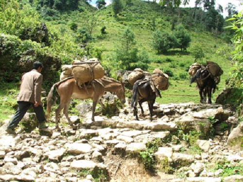 Tangfang Stone Village in Fengqing County