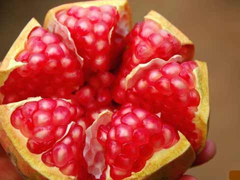 Pomegranate in Jinghong