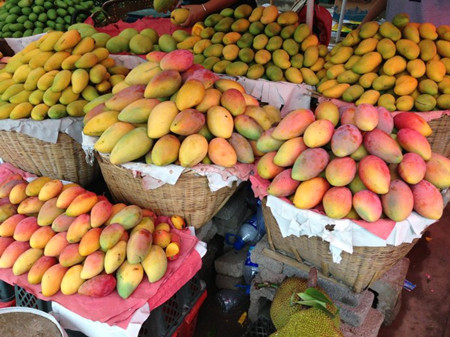 Yuanjiang mango