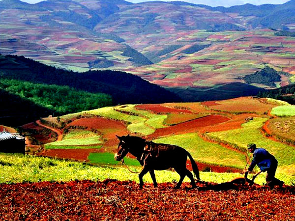 Dongchuan Red Land