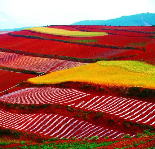 Dongchuan Red Land