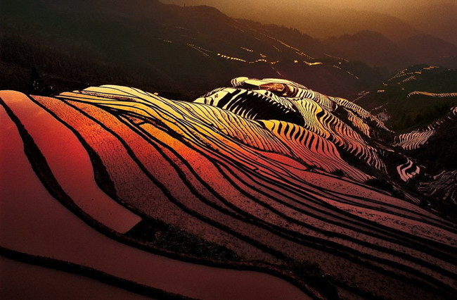 Bada Rice Terraces in Yuanyang County