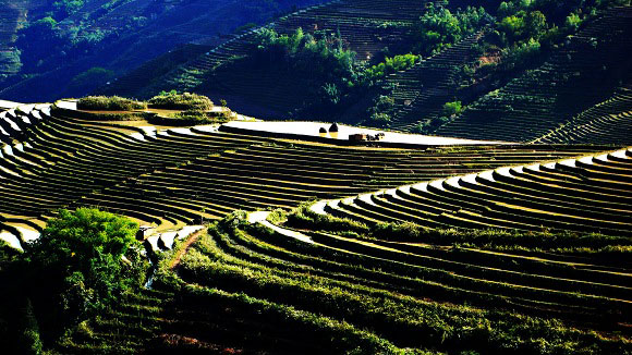 Habo Rice Terraces