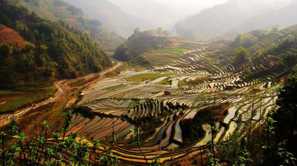 Habo Rice Terraces