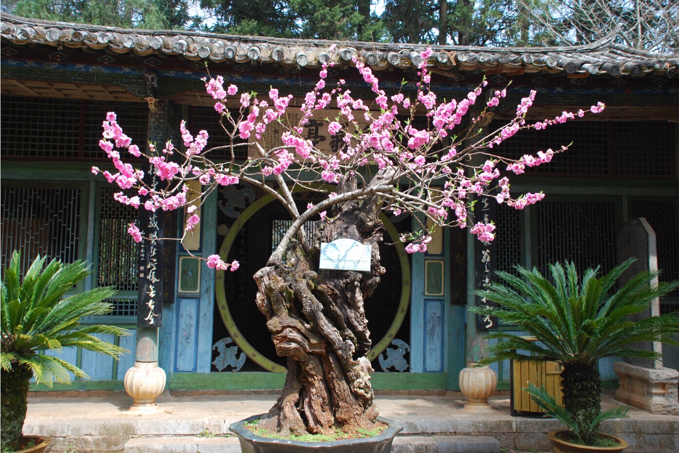 Xiushan Mountain