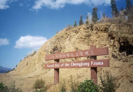 Fauna Fassil Site