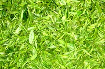 Qingcheng mountain tea