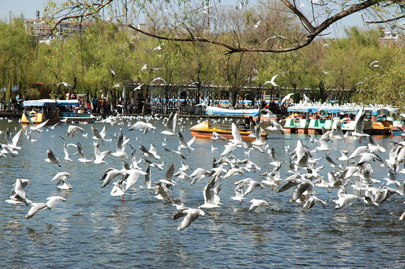 Kunming Green Lake Park