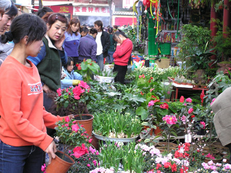 Flowers and Birds Market in Kunming