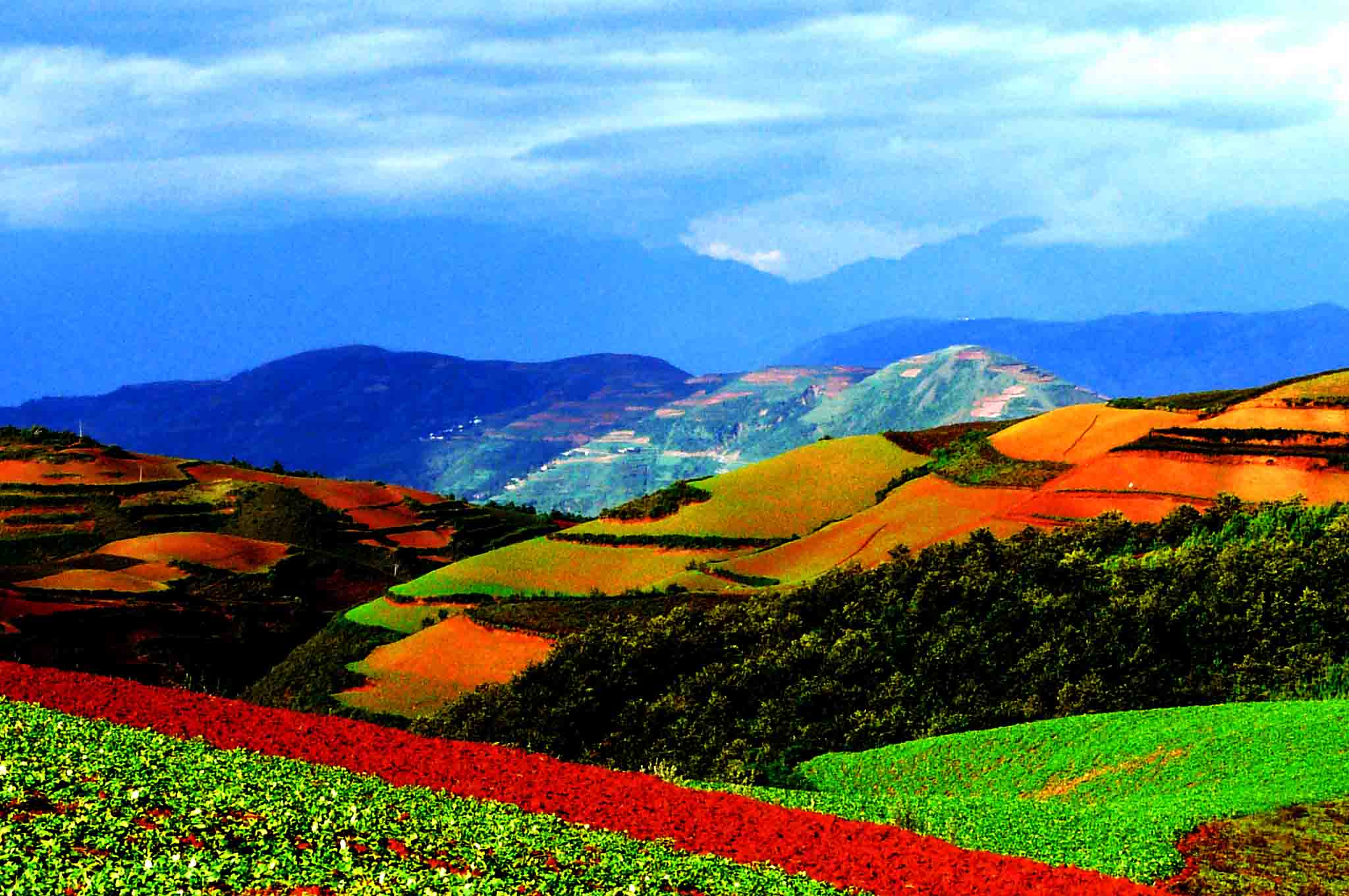 Dongchuan Red Soil (Hongtudi) in Kunming