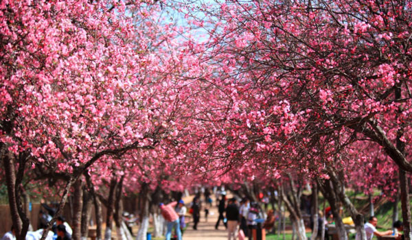 Kunming Zoo in Yuantongshan Hill