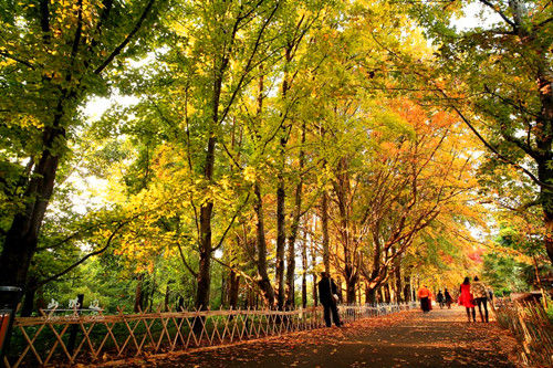 Kunming Botanical Garden