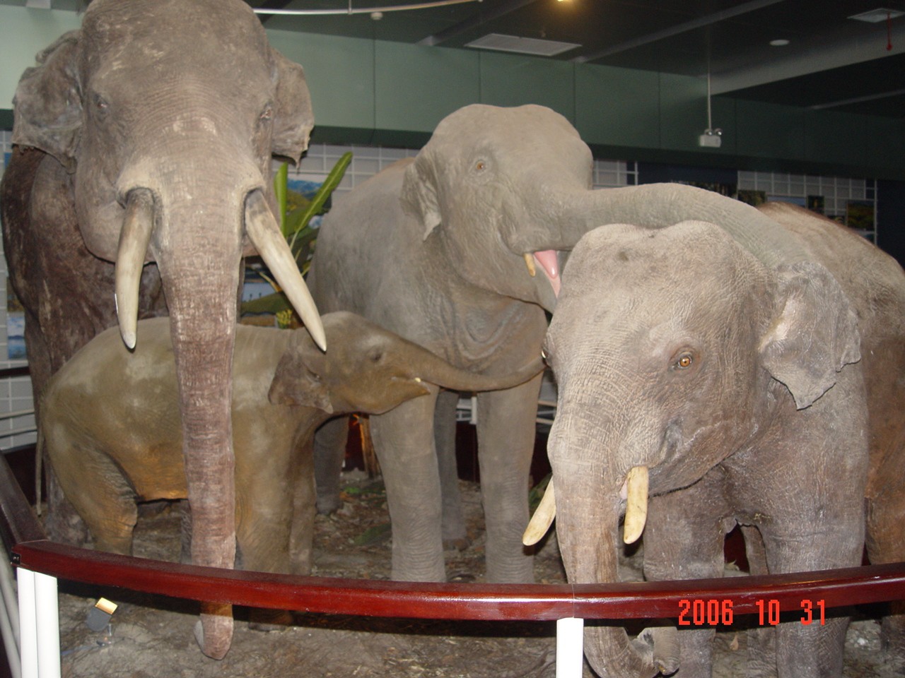 Kunming Zoology Museum