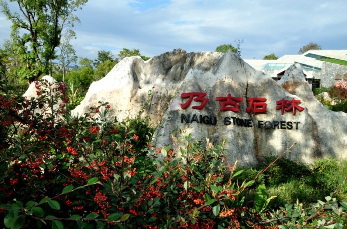 Naigu Stone Forest in Kunming