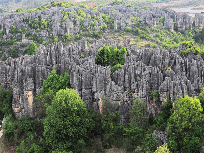 Naigu Stone Forest in Kunming