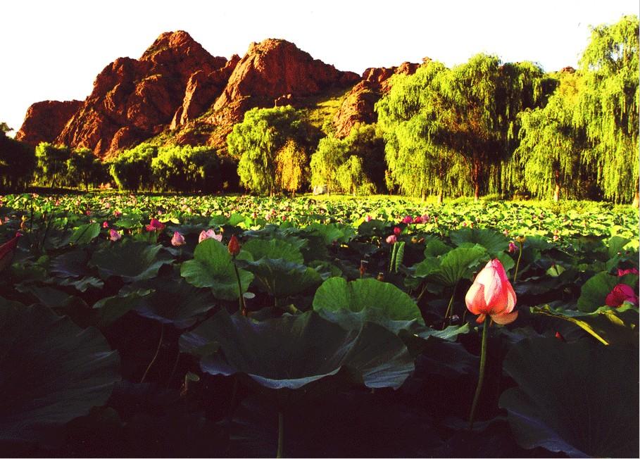 Xiaobailong National Forest Park in Yiliang County