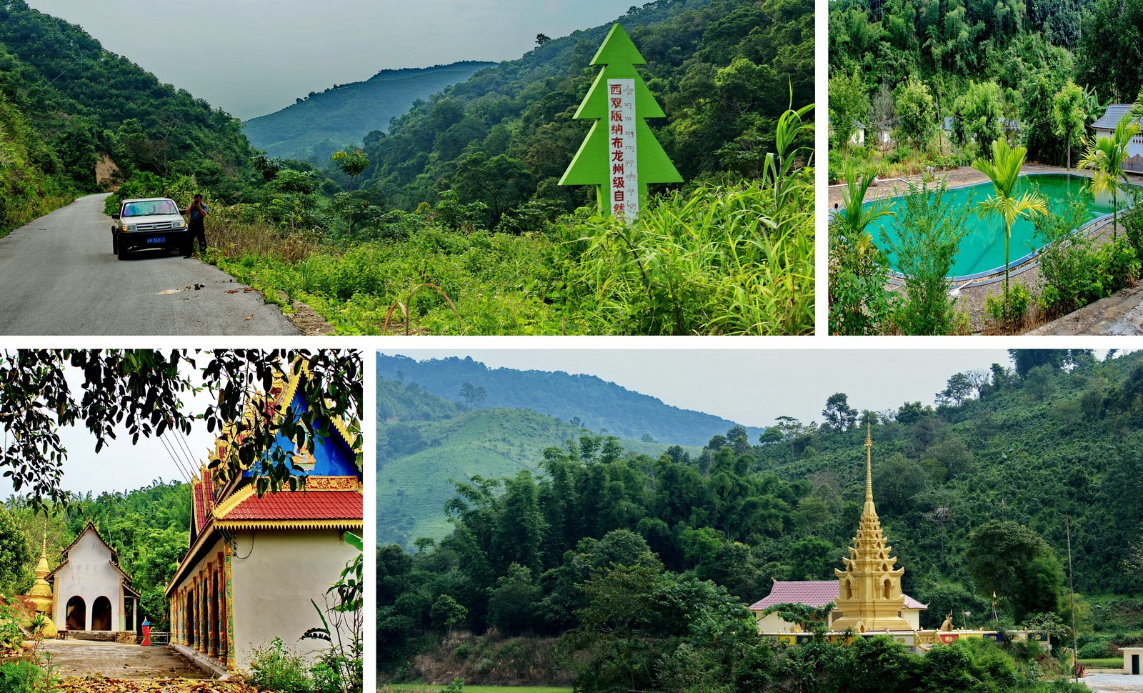 Bulangshan Township,Xishuangbanna