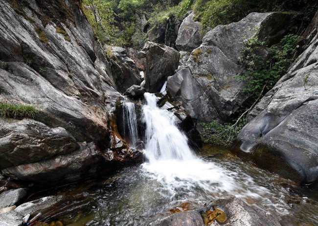 Pu'er The Mt.Ailaoshan Nature Reserve