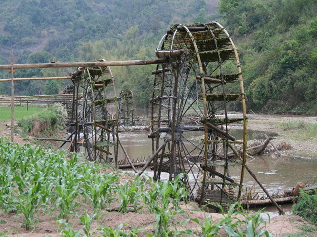 Pu'er Xiaoheijiang Forest Park 