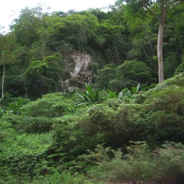 Pu'er Xiaoheijiang Forest Park 