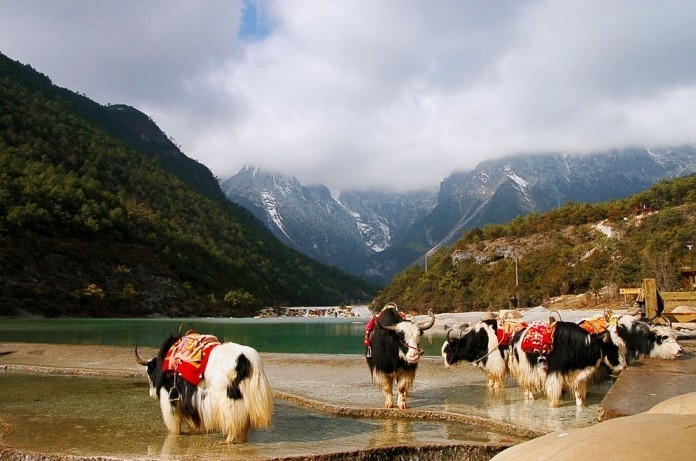 White Water River in Lijiang