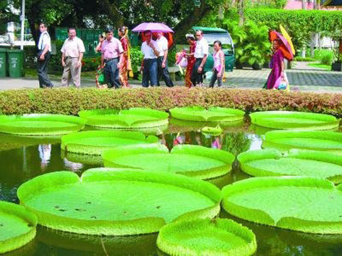 Xishuangbanna Tropical Flower and Plant Garden