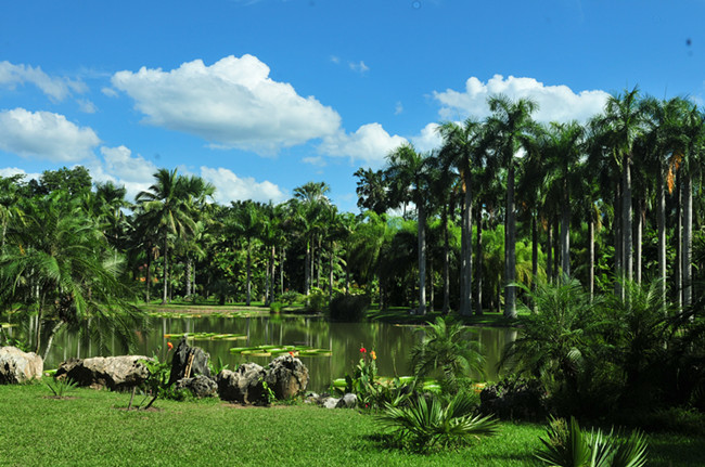 Xishuangbanna Tropical Flower and Plant Garden