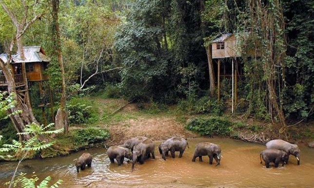 Sanchahe Nature Reserve in Xishuangbanna