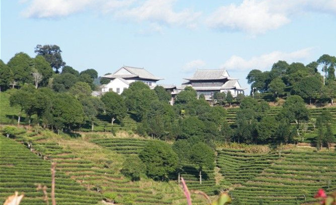 China Pu'er Tea Exposition Garden