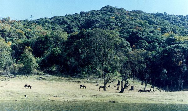 AiLao Mountain National Natural Reserve