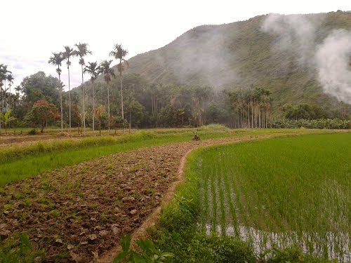 Damuyu Tourist Village