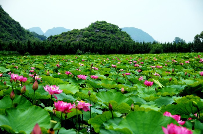 Puzhehei Scenic Region in Qiubei County