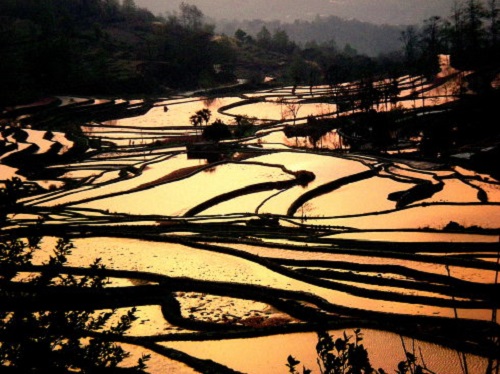 Longshuba Rice Terrace Area in Yuanyang 