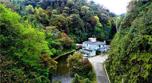 Daweishan National Nature Reserves in Pingbian County