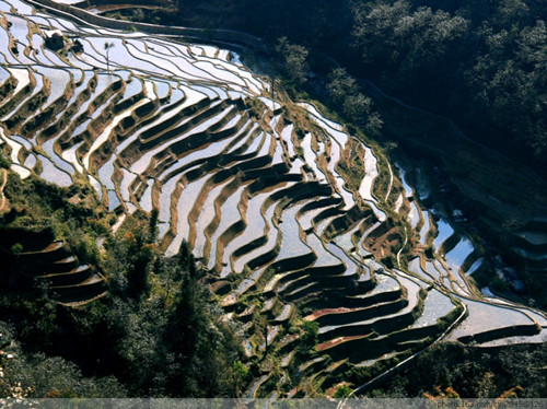 Malizhai Rice Terraces Scenic Area in Yuanyang County,Honghe
