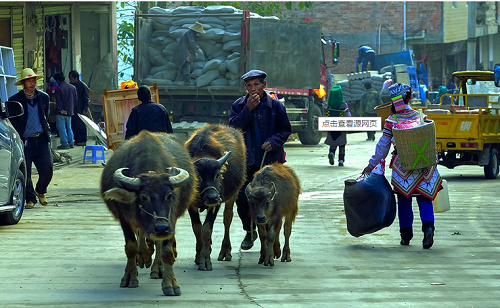 Niujiaozhai Market in Yuanyang County