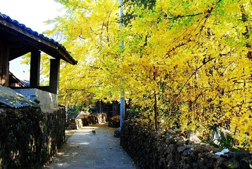 Jiangdong Village in Tengchong County,Baoshan