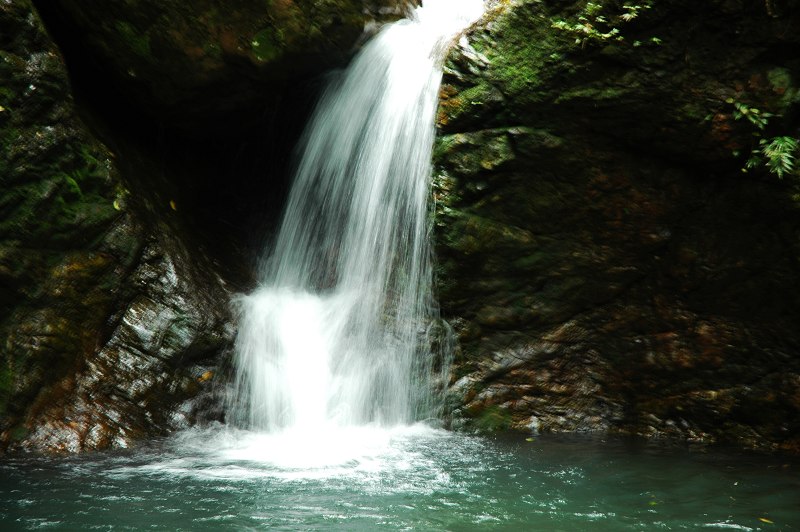 Tongluoba National Forest Park in Shuifu County