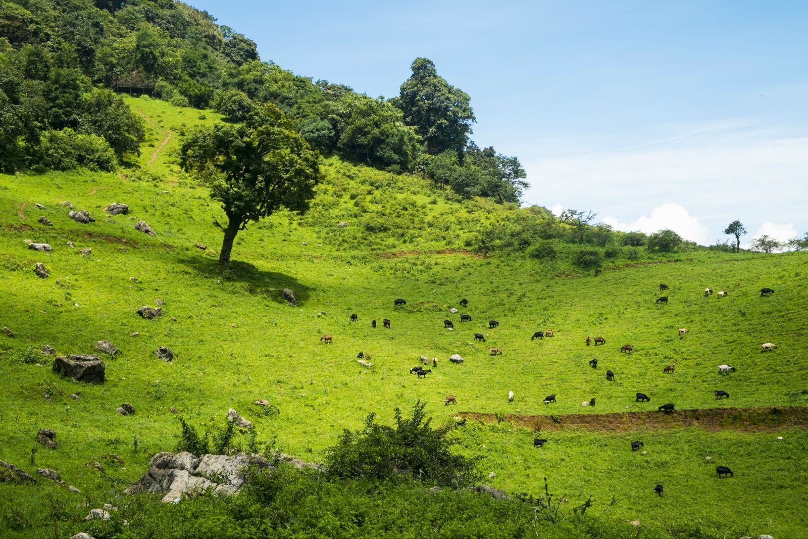 Shede Pastureland And The Bo People