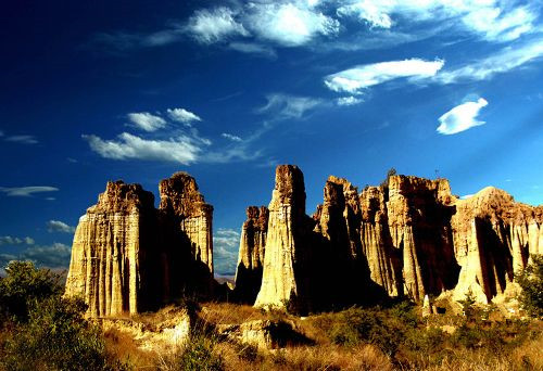 Yuanmou Soil Forest,Chuxiong