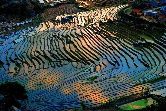 Ejia Rice Terraces in Shuangbai County