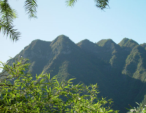 Wufeng Mountain Forest Park in Luliang County,Qujing