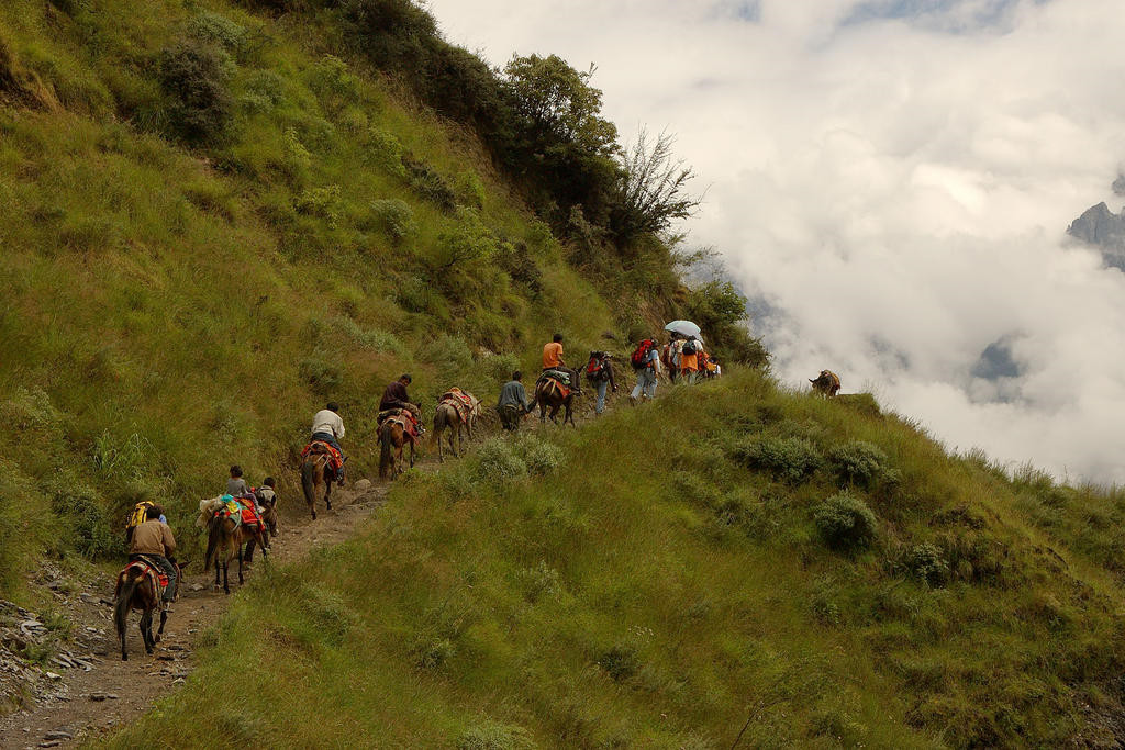 Tiger Leaping Gorge Trekking