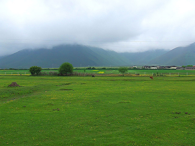 Yila Prairie in Shangri-la County