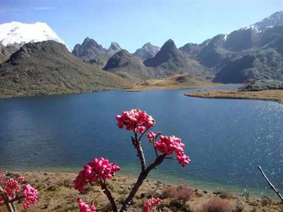 Heihai Lake and Huanghai Lake in Haba Snow Mountain