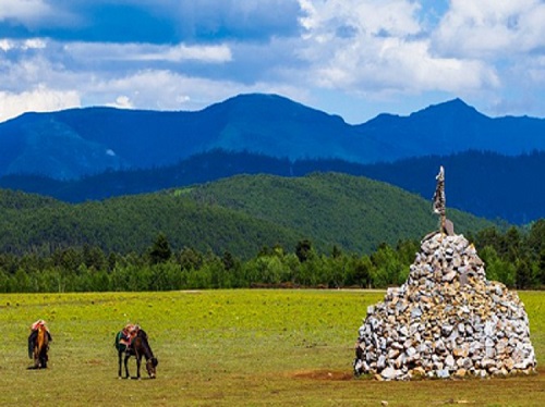 Xiaozhongdian Pasture i